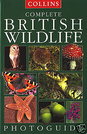 Collins Complete British Wildlife Photoguide