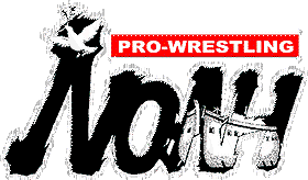 Pro Wrestling Noah