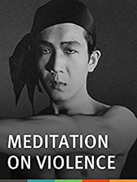 Meditation on Violence