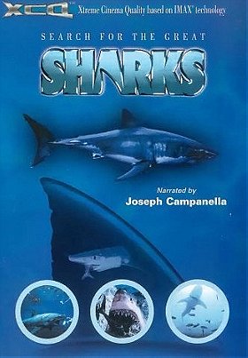 Search For The Great Sharks