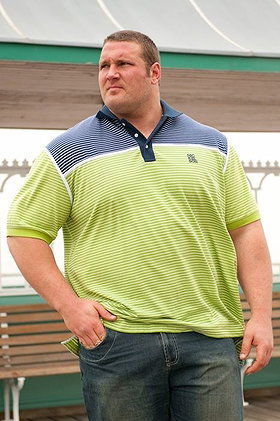 Terry Hollands