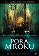 Pora mroku