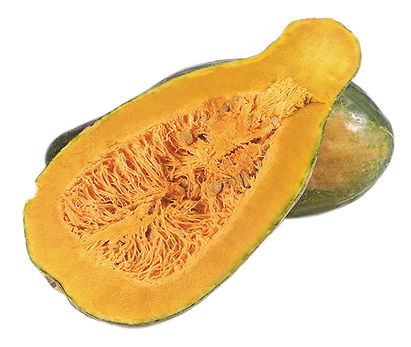 Cucurbita (squash)