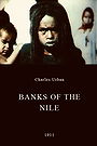 Banks of the Nile