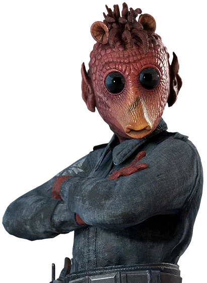 Waka