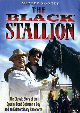 The New Adventures of the Black Stallion