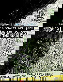 è­šç´?çš„12é«”æ“?é‡‘é‡µ