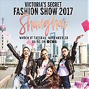 The Victoria's Secret Fashion Show (2017)