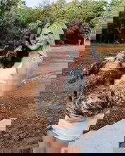 Riley Gaines pictures and photos