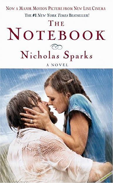 book review of the notebook