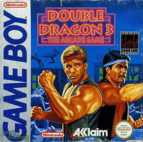 Double Dragon 3: The Arcade Game