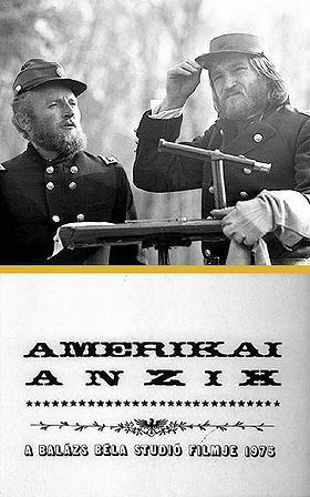 Amerikai anzix