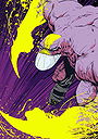 The Maxx