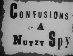 Confusions of a Nutzy Spy