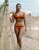 Raquel Welch