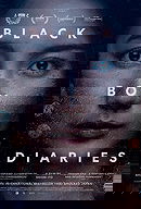 Black Box Diaries