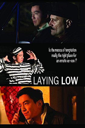 Laying Low (2017)