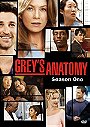 Greys anatomy season 1