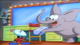 Elephant Issues