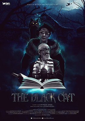 The Black Cat (2017)