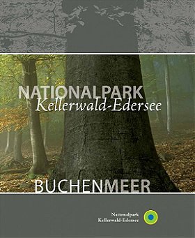 Nationalpark Kellerwald-Edersee: Buchenmeer