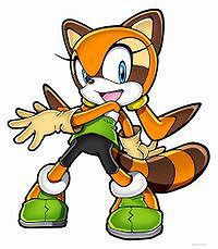 Marine the Raccoon