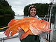 Yelloweye Rockfish