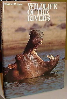 Wild Life of the Rivers