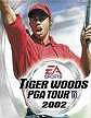 Tiger Woods PGA Tour 2002