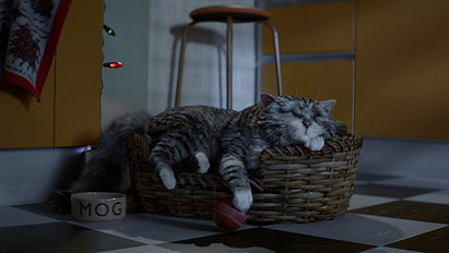 Mog