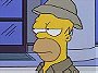 Homer the Vigilante