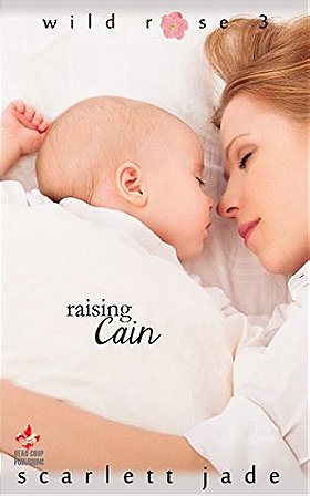 Raising Cain (Wild Rose Book 3)