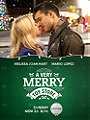 A Very Merry Toy Store                                  (2017)