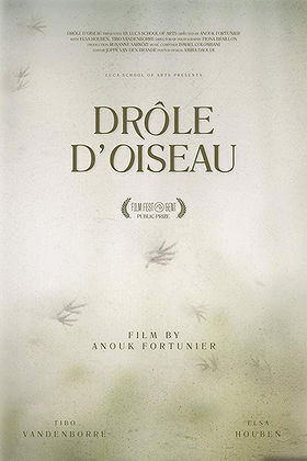 Drôle d'Oiseau