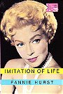 Imitation of Life (Literary Cinema Classics Series)