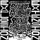 Punk Explosion/Extension