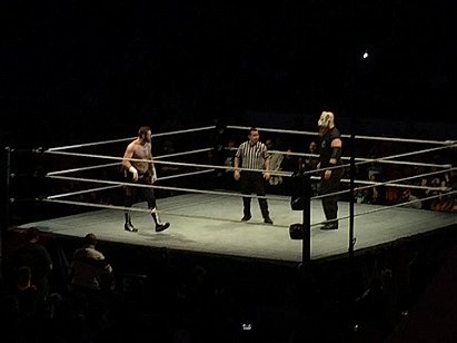Erick Rowan vs. Sami Zayn (WWE, Live 5/2/15)
