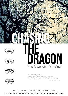 Chasing the Dragon