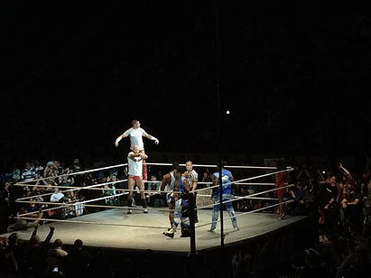 Kofi Kingston & Xavier Woods vs. Cesaro & Tyson Kidd (WWE, Live 5/2/15)