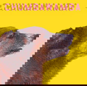 WYSIWYG