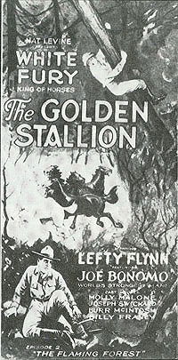 The Golden Stallion