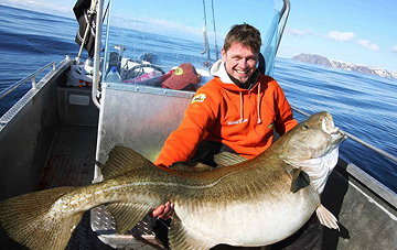 Atlantic Cod