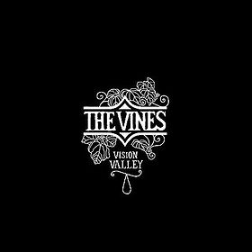 Vision Valley