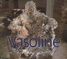 Vasoline CD European Atlantic 1994