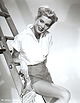Beverly Michaels