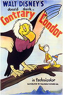 Contrary Condor