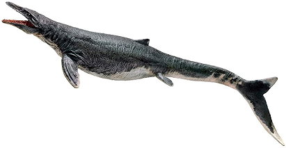 Mosasaurus by PNSO