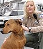 Animal Cops: San Francisco