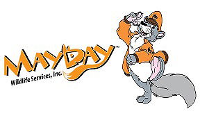 Mayday Wildlife Services