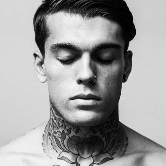 Robb Jr.